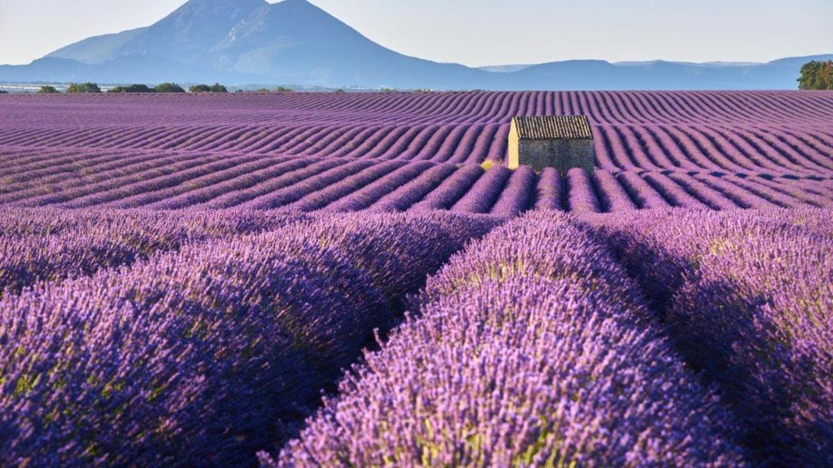 Roulotte Bohemian Lover In Provence, Valensole Exterior photo